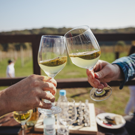 Zwiedzanie Winnicy wraz z degustacją win dla 2 osób