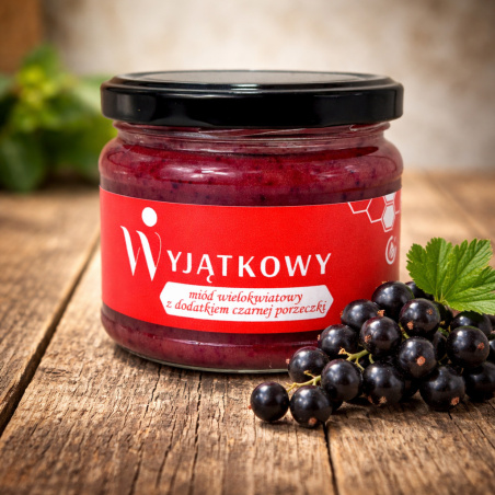 Naturalny miód z dodatkiem owoców czarnej porzeczki